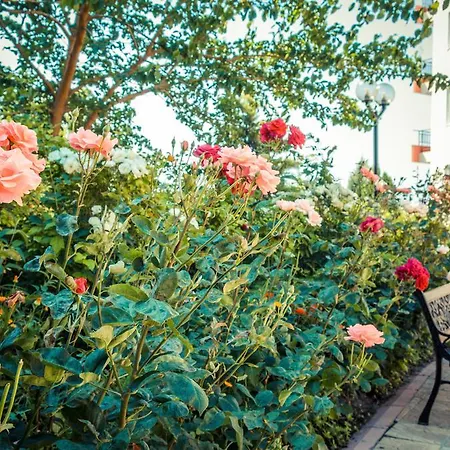 Apartman Riviera Ravda